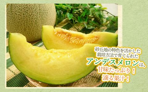 【令和6年産先行予約】 アンデスメロン 秀品 5kg (3～5玉) 山形県鶴岡市産　株式会社 元青果