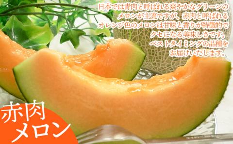 【令和6年産先行予約】 庄内砂丘赤肉メロン 秀品 大玉 約5kg (3～4玉) 山形県鶴岡市産　株式会社 元青果