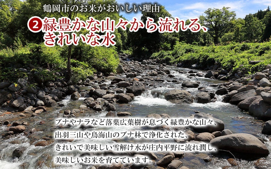 【令和7年産】 特別栽培米 つや姫 精米5kg×3袋 計15kg 山形県 庄内産　米食味鑑定士お薦め