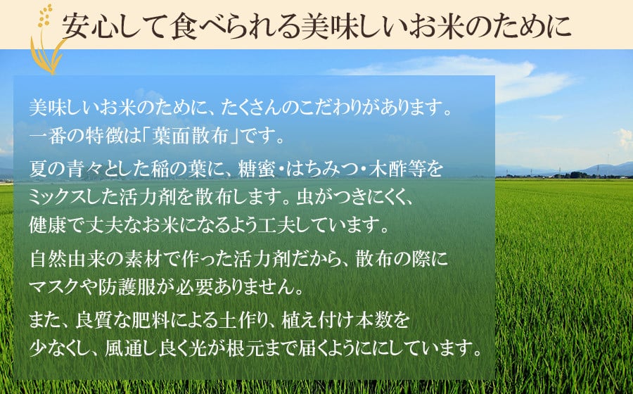 【令和7年産】 井上農場の特別栽培米 コシヒカリ 無洗米 6kg（2kg×3袋）　K-750