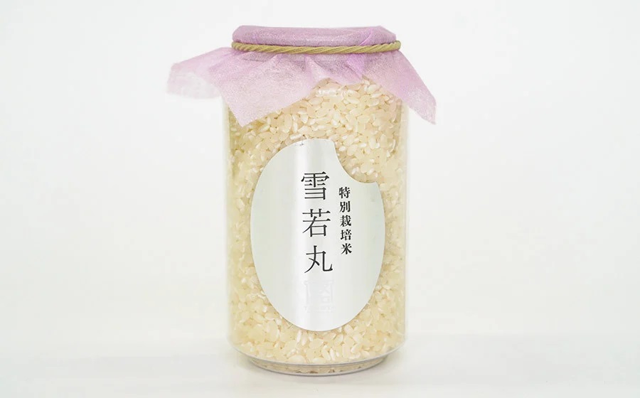 【令和7年産先行予約】 殿やの「つや姫」「雪若丸」「はえぬき」無洗米2合（300g）缶ボトル6本セット　K-737