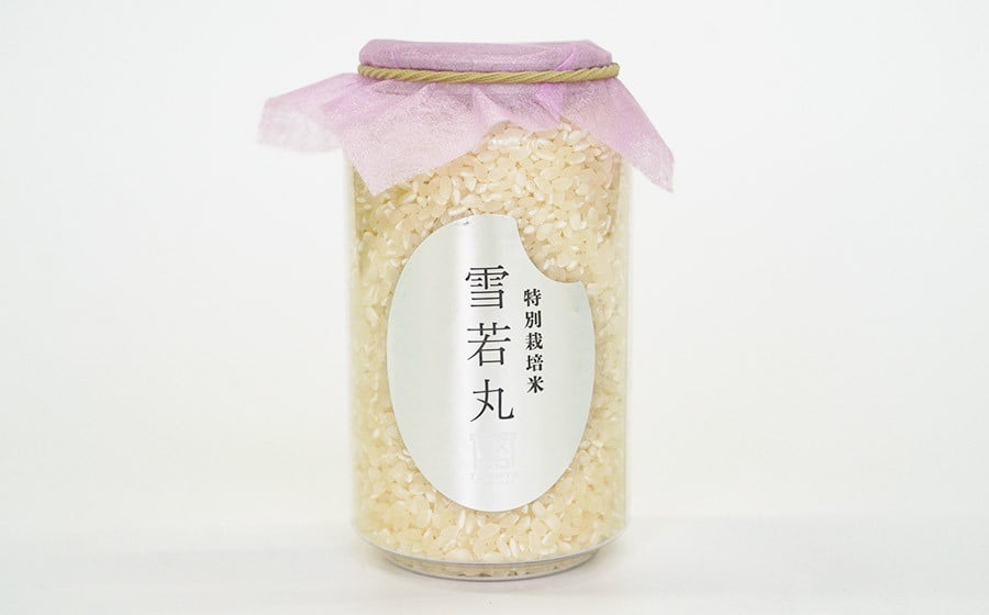 【令和8年産先行予約】 殿やの「つや姫」「雪若丸」「はえぬき」無洗米2合（300g）缶ボトル6本セット　K-837