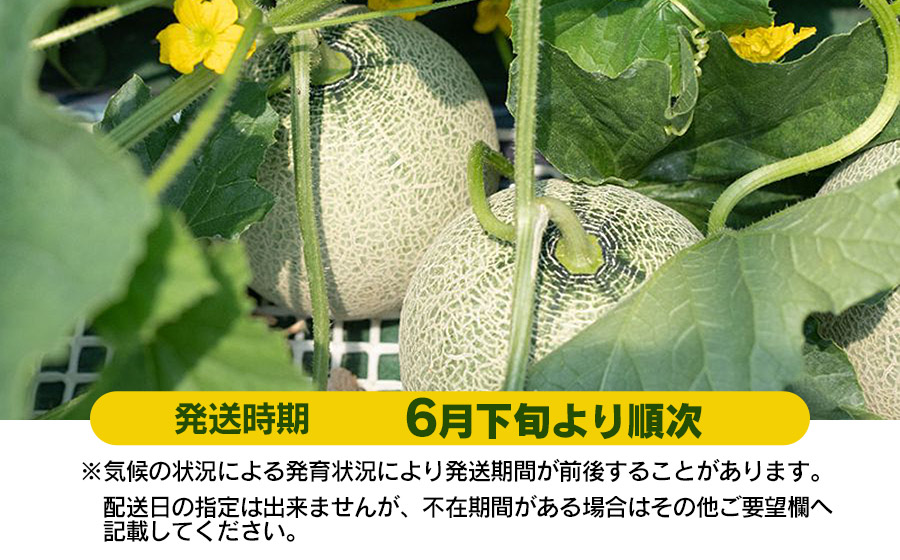 【令和8年産先行予約】 アンデスメロン（3～5玉）　秀品 4L～2L　K-839　JA鶴岡