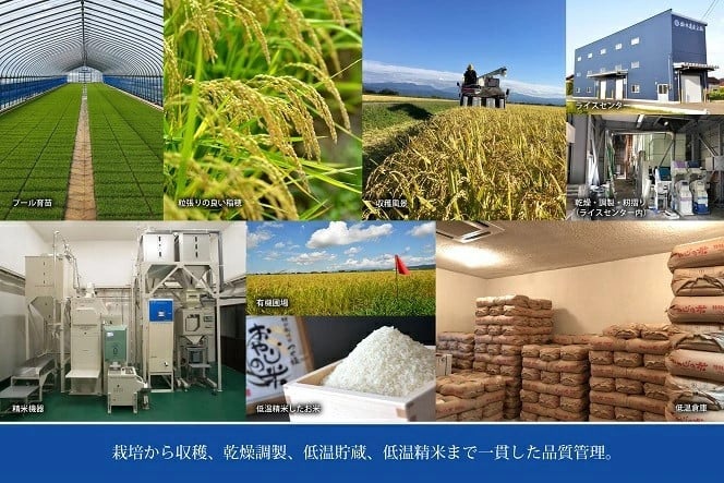 【令和7年産】おやじの米 JAS有機栽培米 雪若丸 白米 5kg　山形県鶴岡産　鈴木農産企画