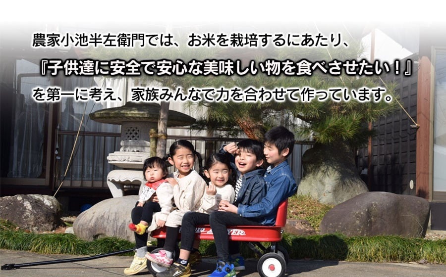 数量限定 【令和7年産】【新米】 山形県庄内産 小池半左衛門のお米 ミルキークイーン 無洗米 10kg (5kg×2袋)