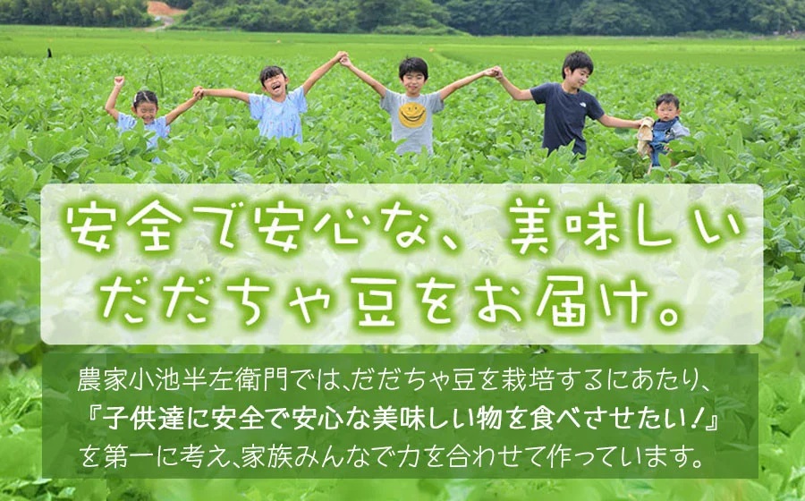 【令和8年産先行予約】朝採りだだちゃ豆 【晩生】1.5kg (500g×3袋) 枝豆　小池半左衛門