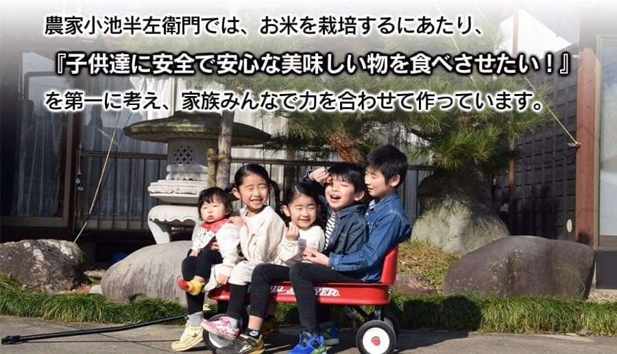 数量限定 【令和7年産】 山形県庄内産 小池半左衛門のお米 はえぬき 精米 5kg (5kg×1袋)
