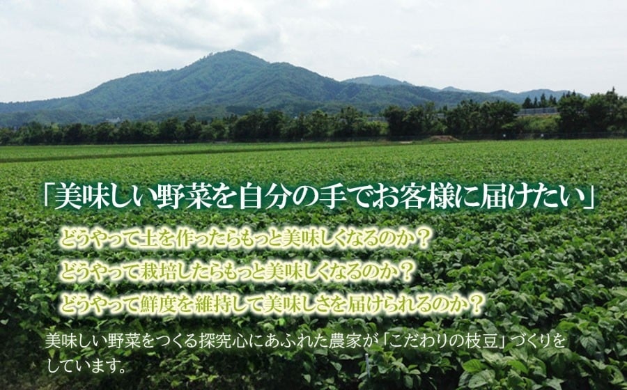 【4回定期便】【令和8年産先行予約】 朝採りだだちゃ豆　だだちゃ豆好き必見！毎週お届け！4回発送 1.2kg(600g×2袋)×4回　山形県鶴岡市産　株式会社菜な八（鶴岡ファーマーズ）