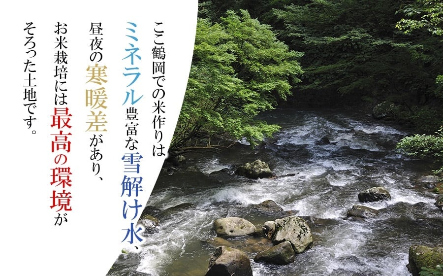 【令和7年産】 山形はえぬき 無洗米 15kg (5kg×3袋)　山形県鶴岡市産　株式会社菜な八（鶴岡ファーマーズ）