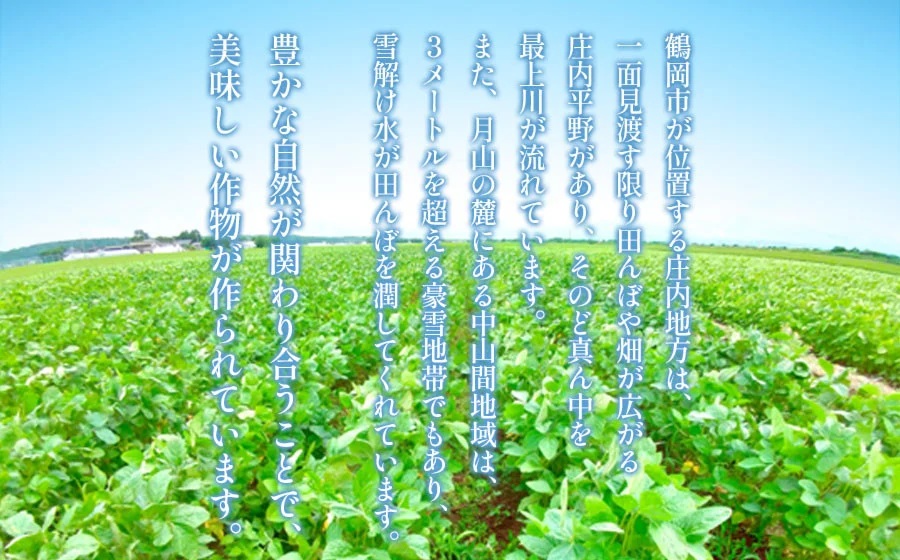 【令和7年産先行予約】 鶴岡特産 だだちゃ豆 1.5kg(250g×6袋)　庄内産直センター