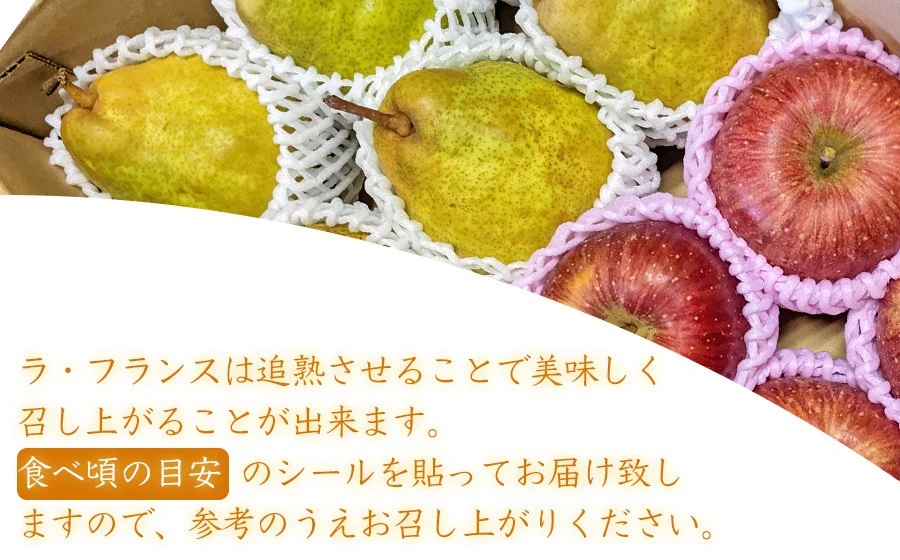 【令和7年産 先行予約】ラ・フランス＆ふじりんごセット　約3kg（10～12玉入）庄内産直センター