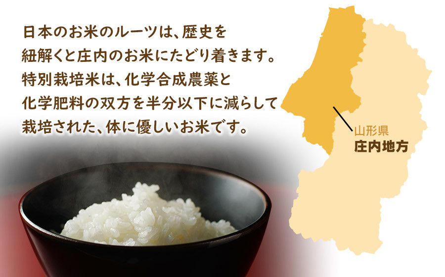 【令和7年産】特別栽培米 体に優しいお米・こしひかり10kg（5kg×2） 山形県庄内産　鶴岡米穀商業協同組合