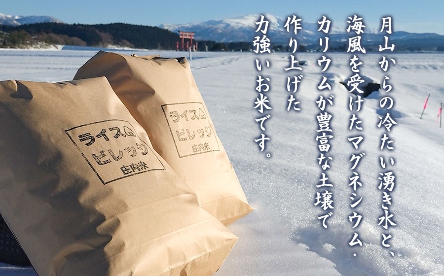 【令和7年産】米どころ庄内産 ライスビレッジの特別栽培米 つや姫 玄米10kg　K-787