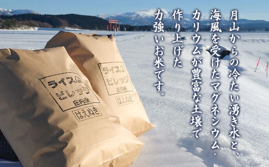 【令和7年産】 米どころ庄内産 ライスビレッジのはえぬき 玄米10kg　K-781