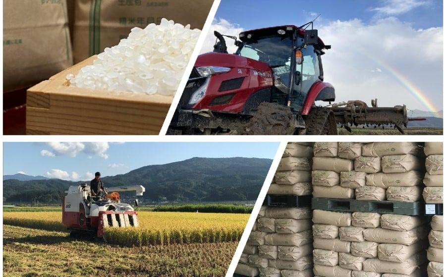 【令和7年産先行予約】 特別栽培米 Gセレクション つや姫【白米】 6kg(6kg×1袋) 山形県鶴岡市産　株式会社グラノフ