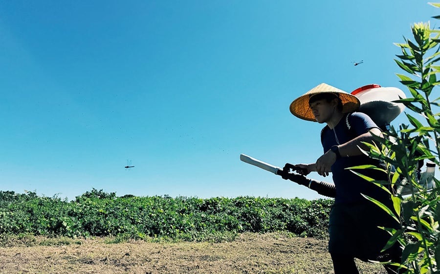 【令和7年産米】庄内おばこ農場の特別栽培米 はえぬき【玄米】10kg（10kg×1袋）　K-784