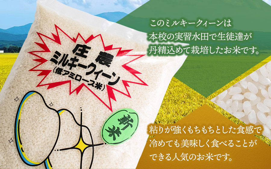 【令和7年産】 山形県立庄内農業高等学校の生徒が栽培したミルキークイーン 精米3kg　山形県鶴岡市