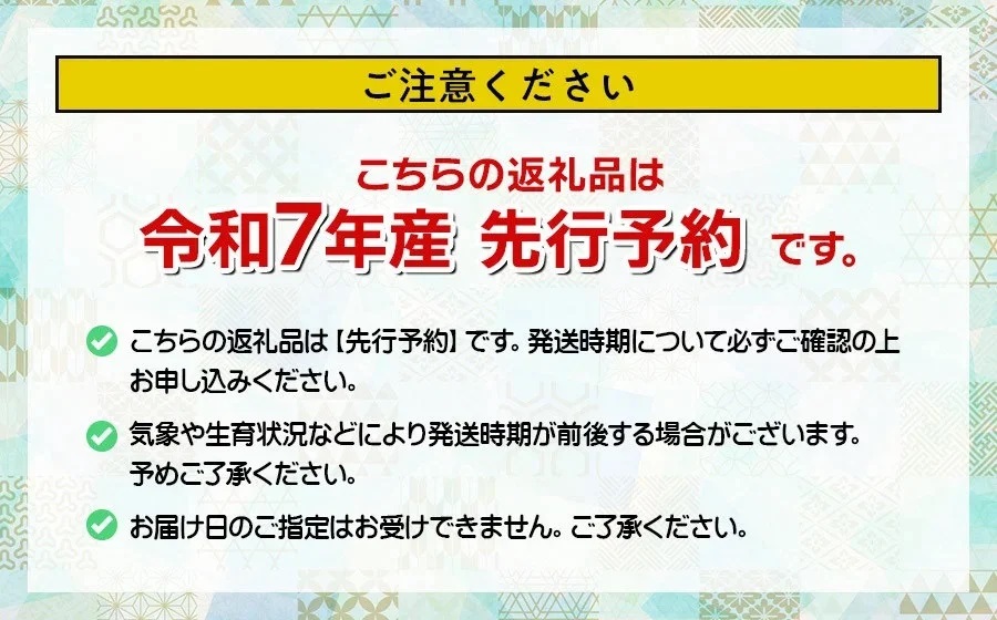【令和7年産先行予約】 さくらんぼ 佐藤錦 Lサイズ バラ詰め 500g　山形県鶴岡市産　 菅原ファーム