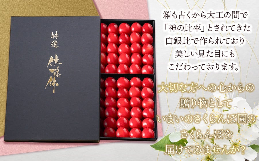【令和8年産先行予約】【贈答用】 さくらんぼ「佐藤錦」（2Lサイズ）88粒 いまいのさくらんぼ園　K-8114