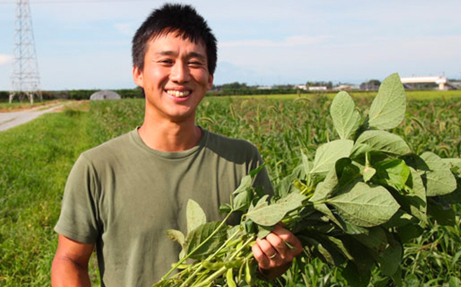 【令和7年産先行予約】神の枝豆と呼ばれた與惣兵衛（よそべい）の特選・極上だだちゃ豆1.2kg【桐箱入】 鶴岡市白山産　K-790