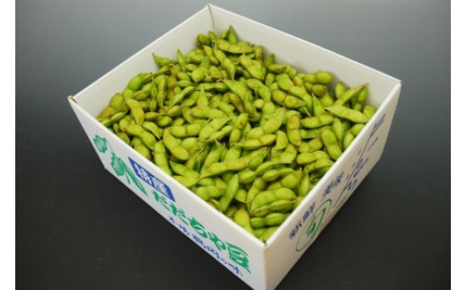 【令和8年産先行予約】シーズン最後の食べ納め！神の枝豆と呼ばれた與惣兵衛の【有終のだだちゃ豆】1kg　K-831