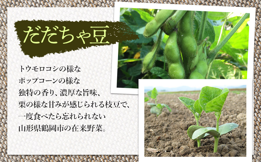 【令和8年産先行予約】【5回定期便】 15代目「治五左衛門」のエダマメ5種類（だだちゃ豆3種、ぼんちゃ豆、秘伝豆）食べ比べセット