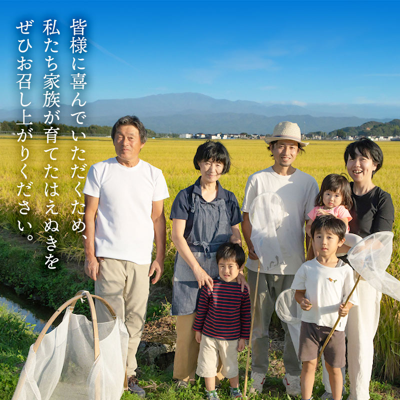 【令和7年産先行予約】【定期便3ヶ月】富樫農園のはえぬき 精米5kg × 3ヶ月 山形県鶴岡市産　[K-732]