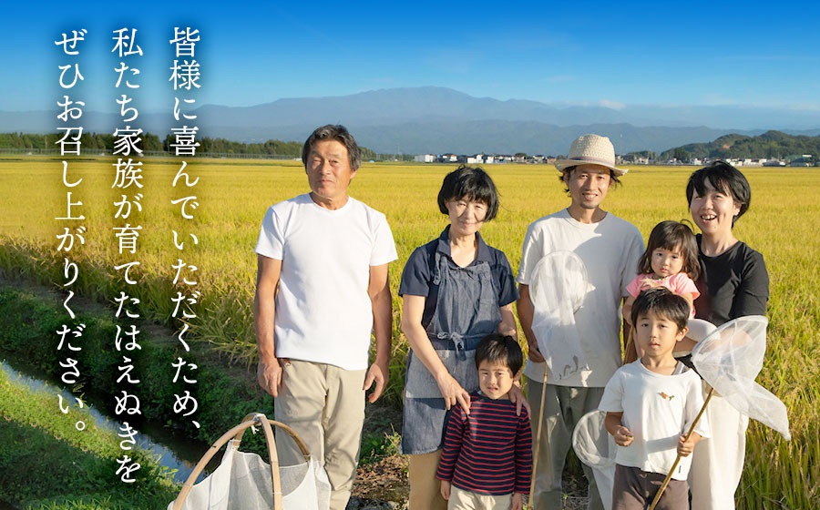 【令和8年産先行予約】富樫農園のはえぬき 精米5kg（5㎏×1袋） 山形県鶴岡市産　[K-840]