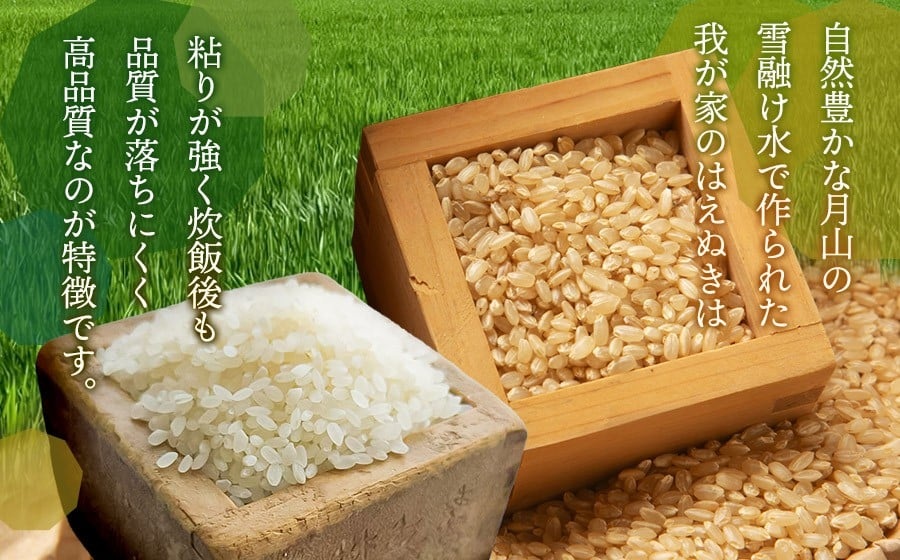 【令和8年産先行予約】 はえぬき（庄内米） 精米　10kg(5kg×2袋)　農家 長四郎