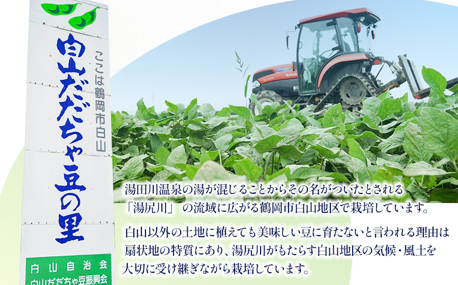 【令和8年産先行予約】【訳あり】白山だだちゃ豆　1kg（1kg × 1袋）　長五郎