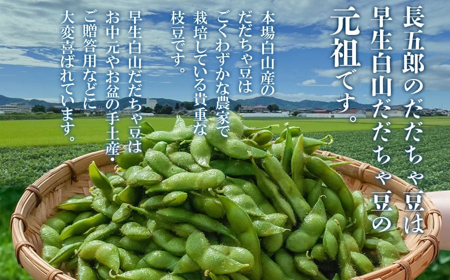 数量限定【令和8年産先行予約】 白山だだちゃ豆　1kg（500g × 2袋） + 訳あり200g　鶴岡市白山産　長五郎