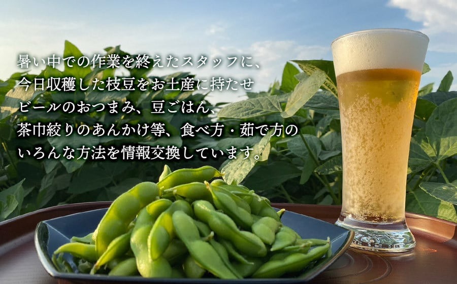 【令和7年産先行予約】 山形県鶴岡市産 早生枝豆 「おつな姫」2kg+訳あり品500g　株式会社アグリシア