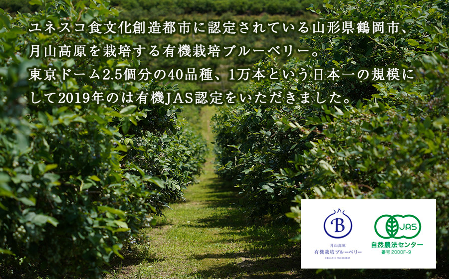 月山高原鈴木農園のブルーベリージャム　4個セット　有機栽培　K-634