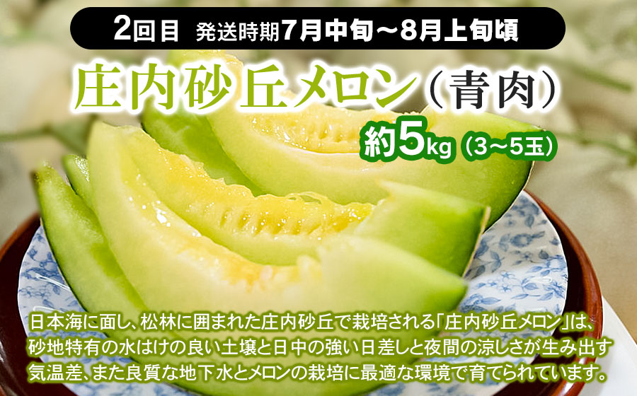 【定期便】【令和8年産先行予約】 山形県鶴岡産 旬のお楽しみフルーツセット (果物) さくらんぼ・メロン・大粒ぶどうの詰合せ (計3回)　産直あぐり