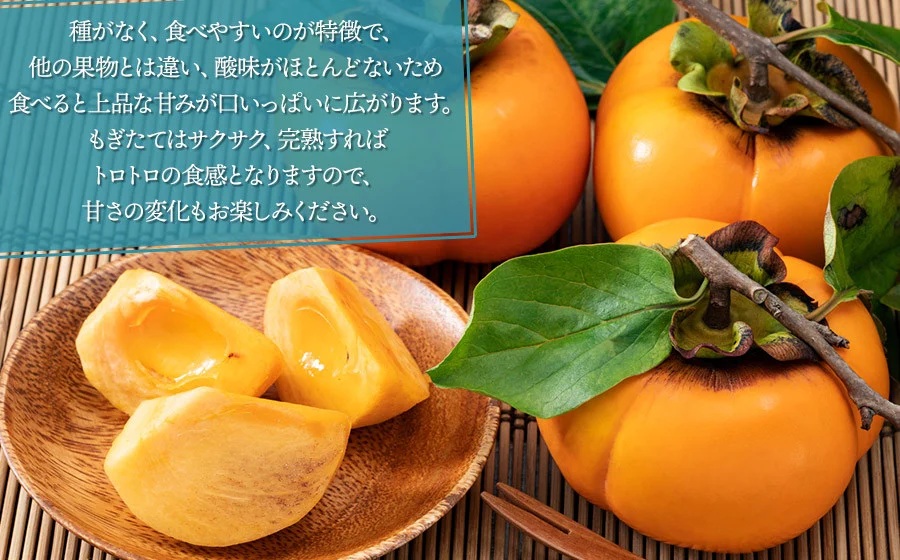 【令和8年産先行予約】JA庄内たがわの庄内柿 約7kg　秀品　M～Lサイズ （36～40玉）　K-835