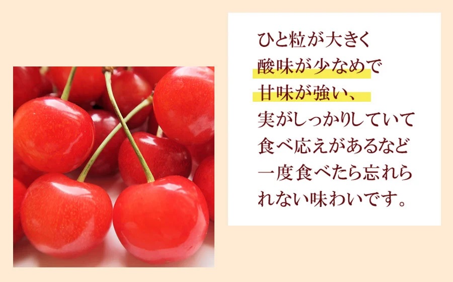 令和7年産先行予約】 さくらんぼ 紅秀峰 (L又は2Lサイズ) 1kg バラ詰め 山形県鶴岡市産 株式会社 元青果: 鶴岡市ANAのふるさと納税