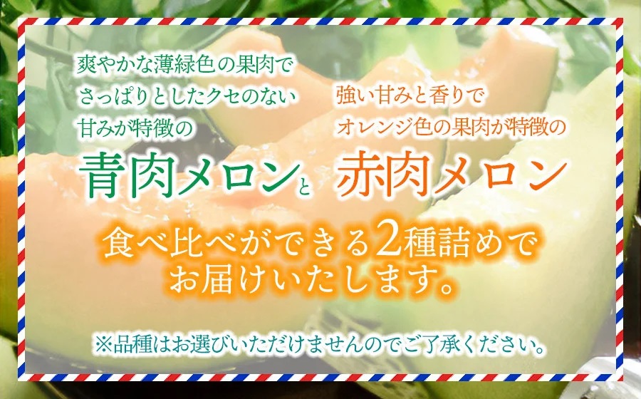 【令和7年産先行予約】 庄内砂丘青肉・赤肉メロン食べ比べ 各2玉 (計4玉) 約5kg 山形県鶴岡市産　株式会社 元青果