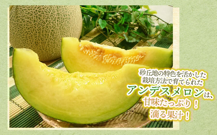 【令和8年産先行予約】 アンデスメロン 秀品 約5kg (3～5玉) 山形県鶴岡市産　株式会社 元青果