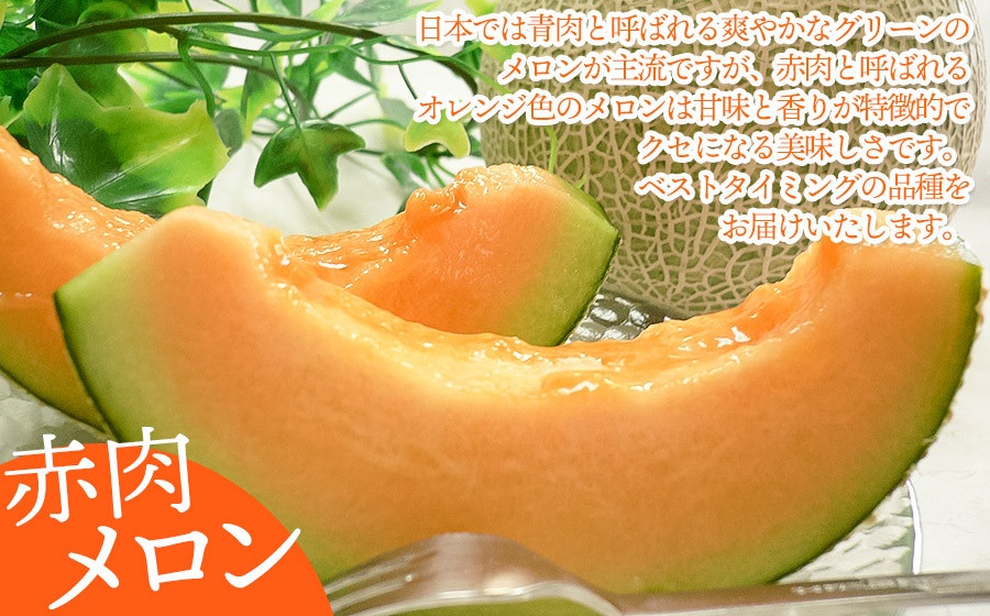 【令和8年産先行予約】 庄内砂丘赤肉メロン 秀品 大玉 約5kg (3～4玉) 山形県鶴岡市産　株式会社 元青果