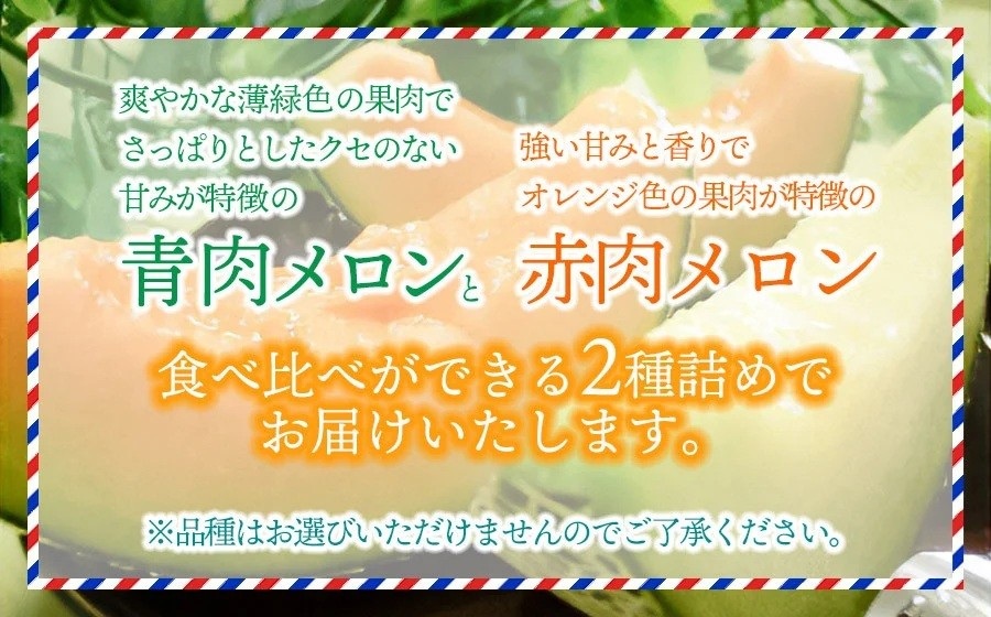 【令和8年産先行予約】 庄内砂丘青肉・赤肉メロン食べ比べ 各2玉 (計4玉) 約5kg 山形県鶴岡市産　株式会社 元青果