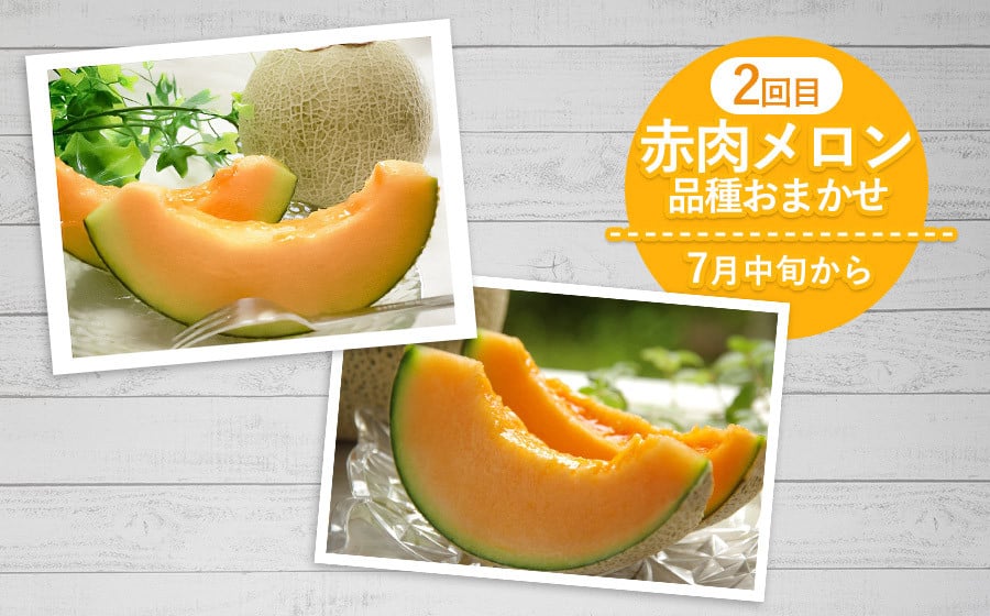 【令和8年産先行予約】 メロン好きのメロン定期便 【3回お届け】 山形県鶴岡市産　株式会社 元青果