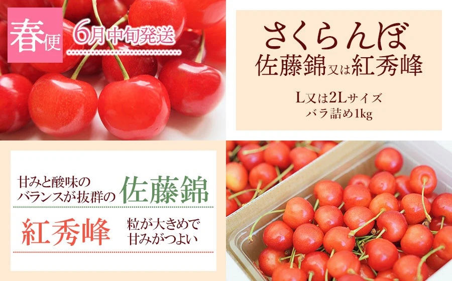 【令和8年産先行予約】 鶴岡から春夏秋のフルーツ定期便【3回お届け】山形県鶴岡産　株式会社 元青果