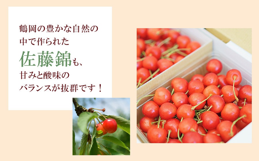 【令和8年産先行予約】 さくらんぼ 佐藤錦 (L又は2Lサイズ) 1kg バラ詰め 山形県鶴岡市産　株式会社 元青果