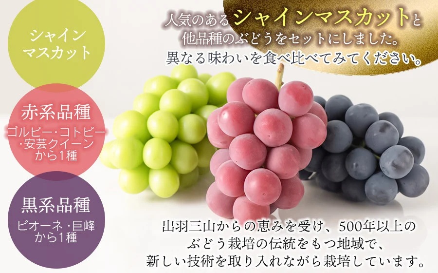 【令和8年産先行予約】大粒ぶどう3種　約2kg　シャインマスカット＋他2品種　丸果庄内青果