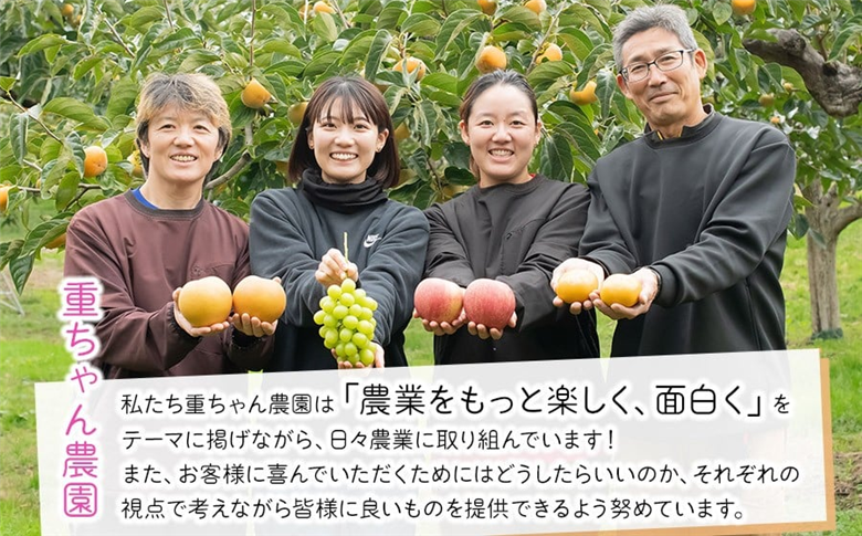 【令和8年産先行予約】種なし巨峰　約1kg（2～3房） 山形県鶴岡市産　重ちゃん農園