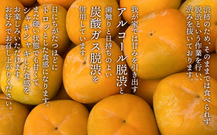 【令和8年産先行予約】家庭用　庄内柿（ひらたねなし柿）約5kg（28～36玉） 山形県鶴岡市産　重ちゃん農園