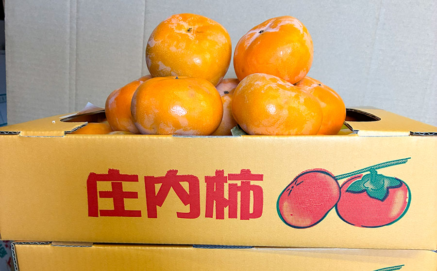 【令和8年産先行予約】 庄内柿 約3.5kg 　山形県鶴岡市　伊藤農園