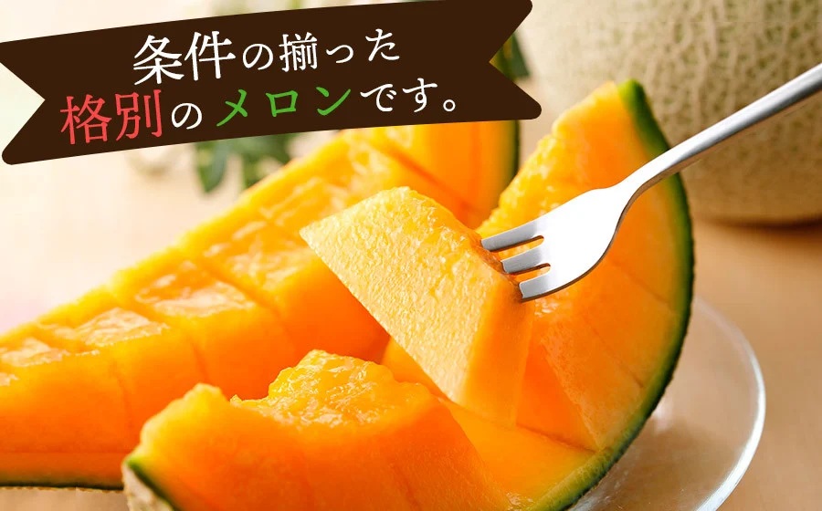 【令和7年産】 庄内産メロン 【赤肉】3～5玉　約5kg 糖度13度以上 山形県鶴岡市 鶴岡中央青果