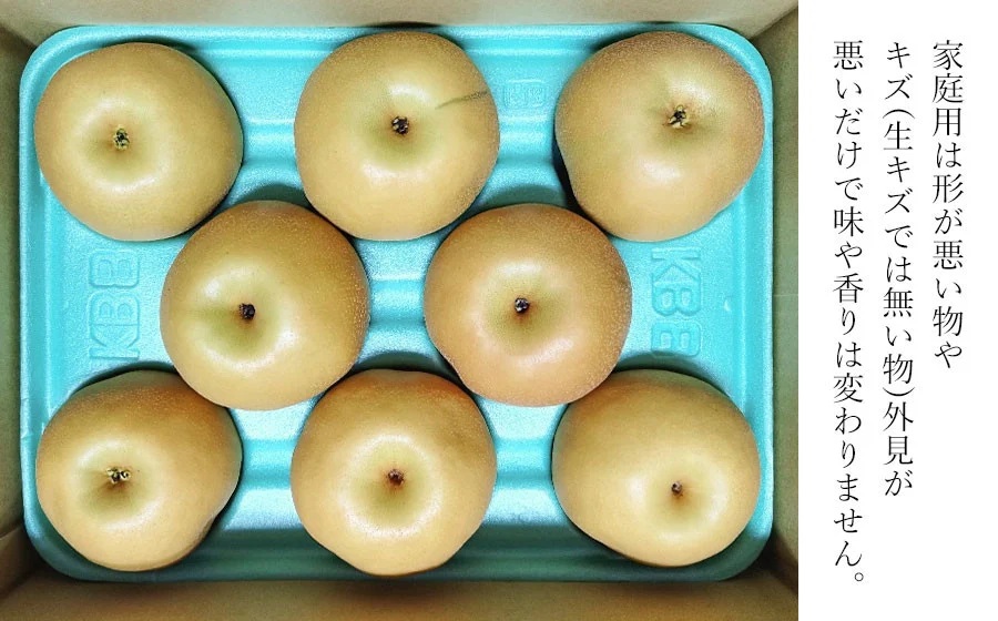 【令和8年産 先行予約】家庭用　幸水梨 3kg　(6～10玉)　マルタ農園