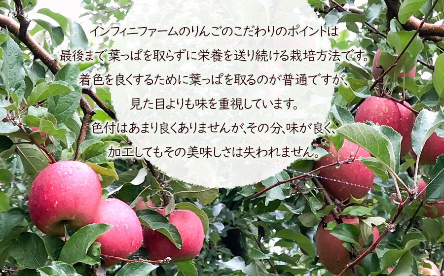100％果汁 りんごジュース1L×2本入　インフィニファーム　K-624